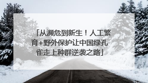 从濒危到新生！人工繁育+野外保护让中国绿孔雀走上种群逆袭之路