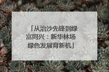 从治沙先锋到绿富同兴：新华林场绿色发展育新机