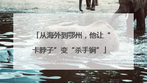 从海外到鄂州，他让“卡脖子”变“杀手锏”