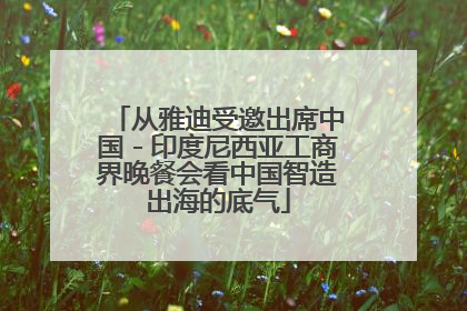 从雅迪受邀出席中国－印度尼西亚工商界晚餐会看中国智造出海的底气
