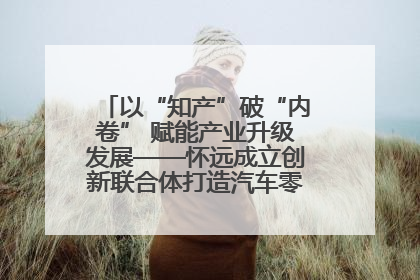 以“知产”破“内卷” 赋能产业升级发展——怀远成立创新联合体打造汽车零部件产业新高地