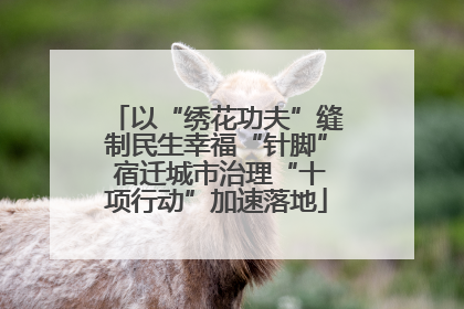 以“绣花功夫”缝制民生幸福“针脚” 宿迁城市治理“十项行动”加速落地
