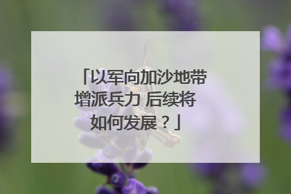以军向加沙地带增派兵力 后续将如何发展？