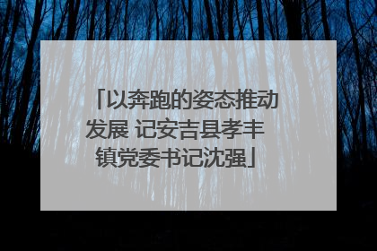 以奔跑的姿态推动发展 记安吉县孝丰镇党委书记沈强