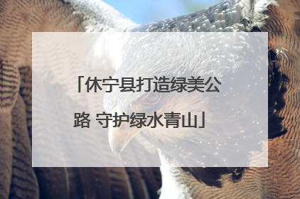 休宁县打造绿美公路 守护绿水青山