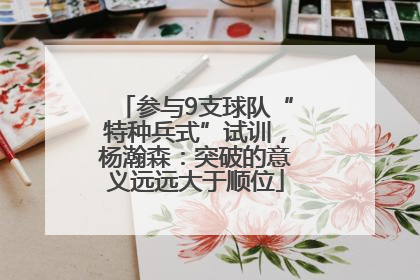 参与9支球队“特种兵式”试训，杨瀚森：突破的意义远远大于顺位