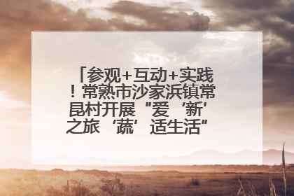 参观+互动+实践！常熟市沙家浜镇常昆村开展“爱‘新’之旅‘蔬’适生活”参观学习活动