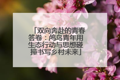 双向奔赴的青春答卷：鸬鸟青年用生态行动与思想碰撞书写乡村未来