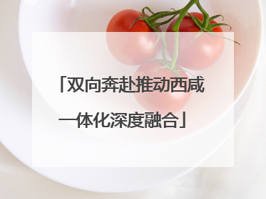 双向奔赴推动西咸一体化深度融合
