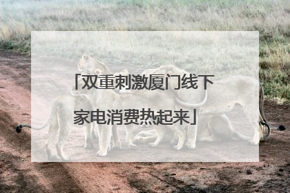 双重刺激厦门线下家电消费热起来