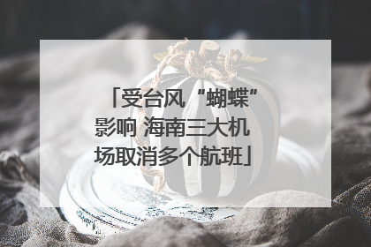 受台风“蝴蝶”影响 海南三大机场取消多个航班