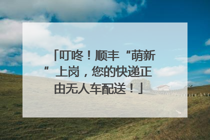 叮咚！顺丰“萌新”上岗，您的快递正由无人车配送！