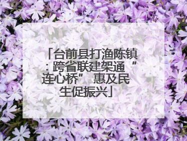 台前县打渔陈镇：跨省联建架通“连心桥” 惠及民生促振兴
