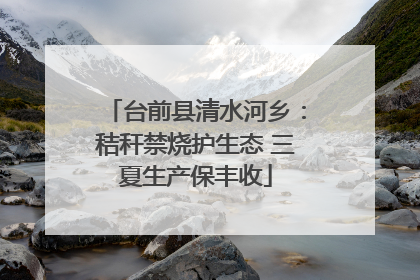 台前县清水河乡：秸秆禁烧护生态 三夏生产保丰收