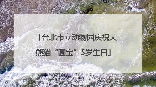 台北市立动物园庆祝大熊猫“圆宝”5岁生日