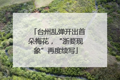台州乱弹开出首朵梅花，“浙婺现象”再度续写