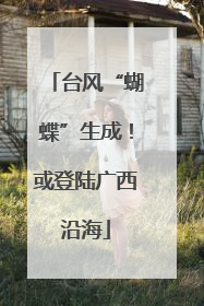 台风“蝴蝶”生成！或登陆广西沿海
