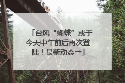 台风“蝴蝶”或于今天中午前后再次登陆！最新动态→