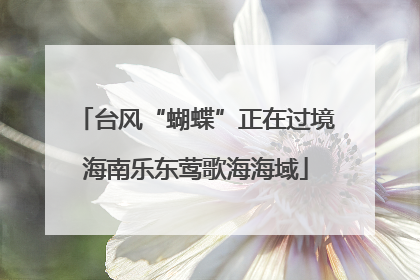 台风“蝴蝶”正在过境海南乐东莺歌海海域