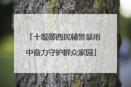 十堰郧西民辅警暴雨中奋力守护群众家园