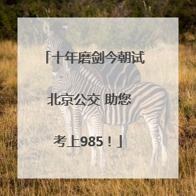 十年磨剑今朝试 北京公交 助您考上985！