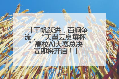 千帆跃进，百舸争流，“天翼云息壤杯”高校AI大赛总决赛即将开启！