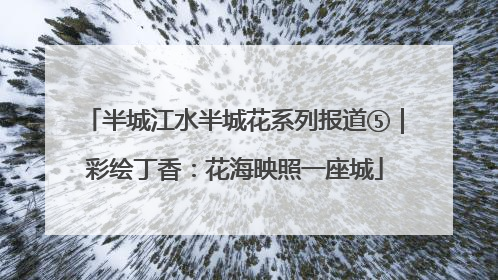 半城江水半城花系列报道⑤｜彩绘丁香：花海映照一座城
