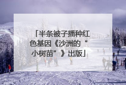 半条被子播种红色基因《沙洲的“小树苗”》出版