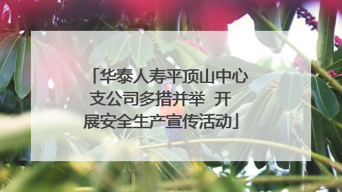 华泰人寿平顶山中心支公司多措并举  开展安全生产宣传活动