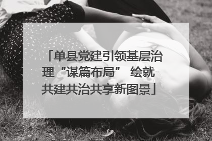 单县党建引领基层治理“谋篇布局” 绘就共建共治共享新图景