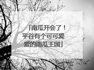 南瓜开会了！平谷有个可可爱爱的南瓜王国