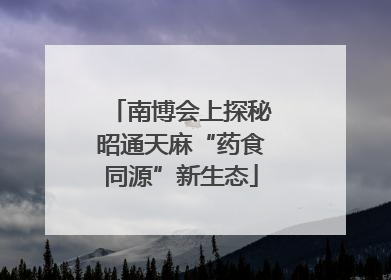 南博会上探秘昭通天麻“药食同源”新生态
