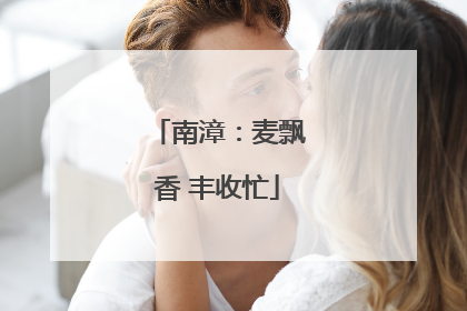 南漳：麦飘香 丰收忙