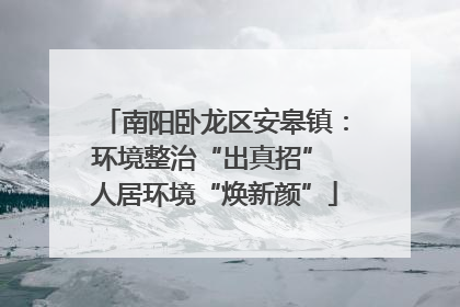 南阳卧龙区安皋镇：环境整治“出真招” 人居环境“焕新颜”