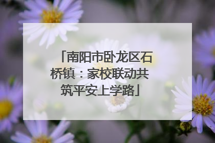 南阳市卧龙区石桥镇：家校联动共筑平安上学路