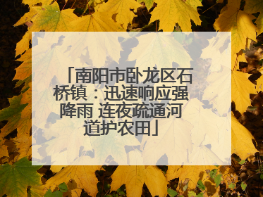 南阳市卧龙区石桥镇：迅速响应强降雨 连夜疏通河道护农田