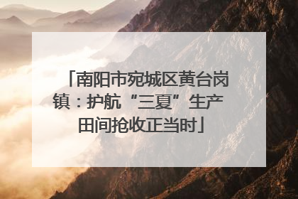 南阳市宛城区黄台岗镇：护航“三夏”生产 田间抢收正当时