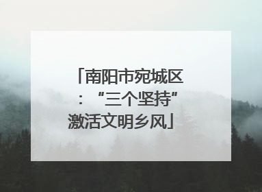 南阳市宛城区：“三个坚持”激活文明乡风