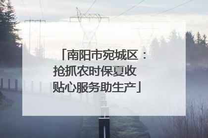南阳市宛城区：抢抓农时保夏收 贴心服务助生产