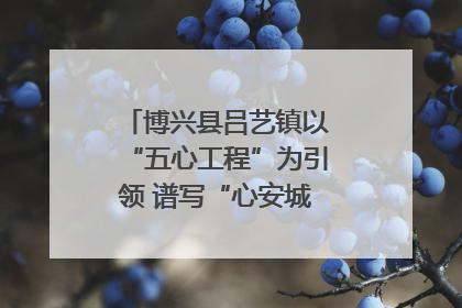 博兴县吕艺镇以“五心工程”为引领 谱写“心安城市”建设新篇章