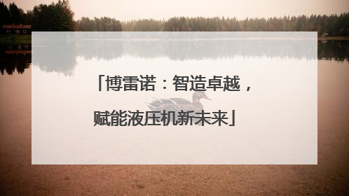 博雷诺：智造卓越，赋能液压机新未来