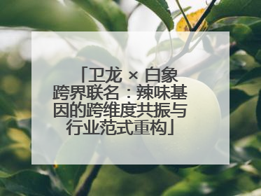 卫龙 × 白象跨界联名：辣味基因的跨维度共振与行业范式重构