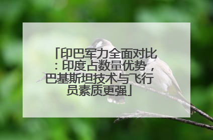 印巴军力全面对比：印度占数量优势，巴基斯坦技术与飞行员素质更强