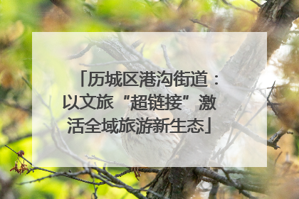 历城区港沟街道：以文旅“超链接”激活全域旅游新生态
