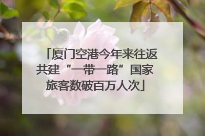 厦门空港今年来往返共建“一带一路”国家旅客数破百万人次