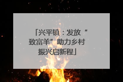 兴平镇：发放“致富羊”助力乡村振兴启新程