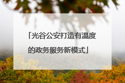 光谷公安打造有温度的政务服务新模式