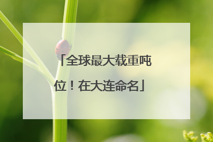全球最大载重吨位！在大连命名