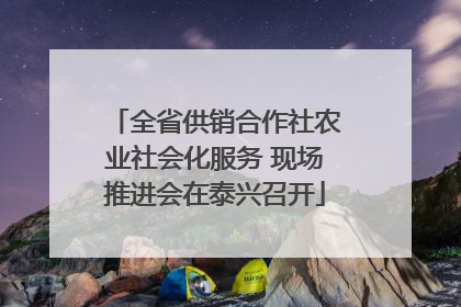 全省供销合作社农业社会化服务 现场推进会在泰兴召开