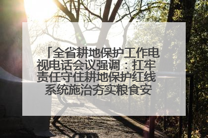 全省耕地保护工作电视电话会议强调：扛牢责任守住耕地保护红线 系统施治夯实粮食安全根基 王宁作出批示 王予波出席并讲话